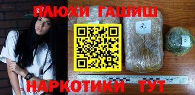сатива Нарткала